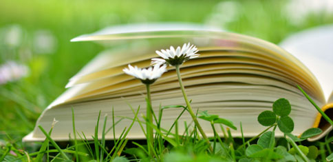 book and flowers