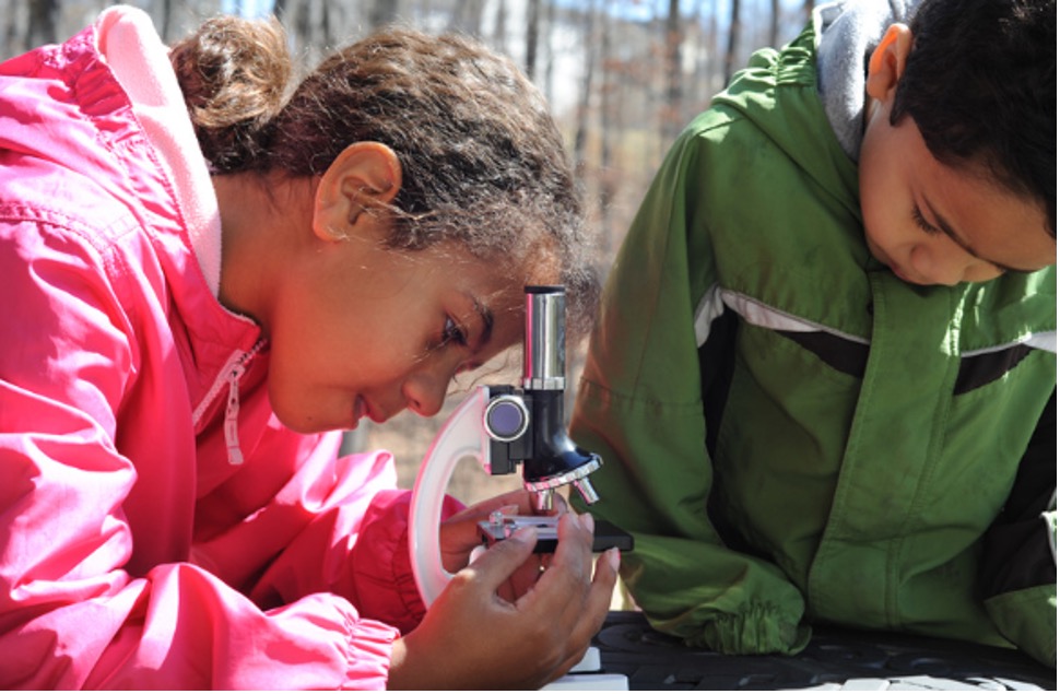 Microscopes and Molecules Summer Laureate Camp